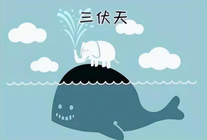 三伏天气温高牢记1不穿2不做3不吃4多吃天气炎热多注意(图10)