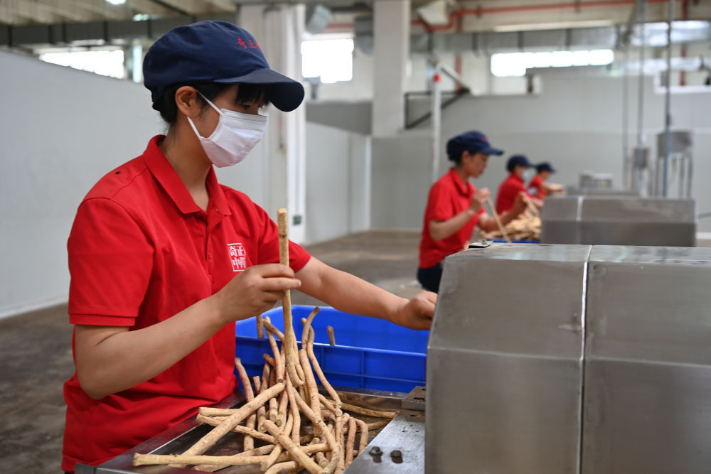 镜观·回响｜保障人民健康筑牢幸福根基(图7)