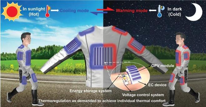 乐虎88国际南开大学最新Science！(图2)