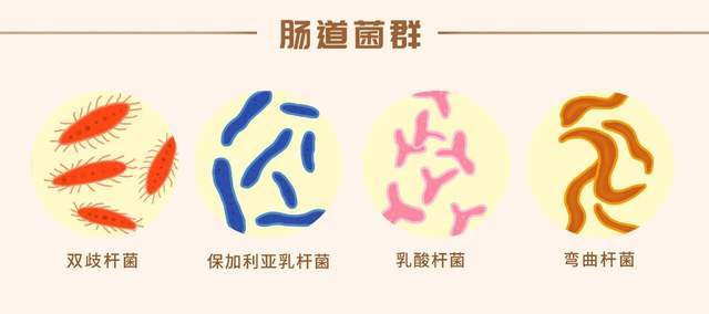 孩子突然暴瘦饭量还越来越大？警惕得了糖尿病(图2)