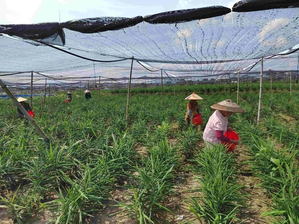 牢记殷殷嘱托书写郴州答卷丨幸福民生新答卷(图1)