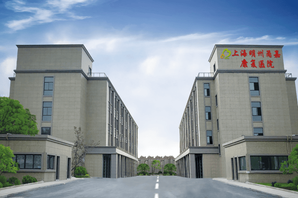 乐虎2025上海中风偏瘫老人养老院查询配合针灸、理疗中西医结合的方式康复细节全攻略(图1)