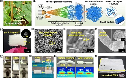 lehu国际乐虎官网东华大学丁彬、王斐等：基于仿生螺旋纤维的超弹性可水洗微纳米纤维海绵用于高效隔热(图2)