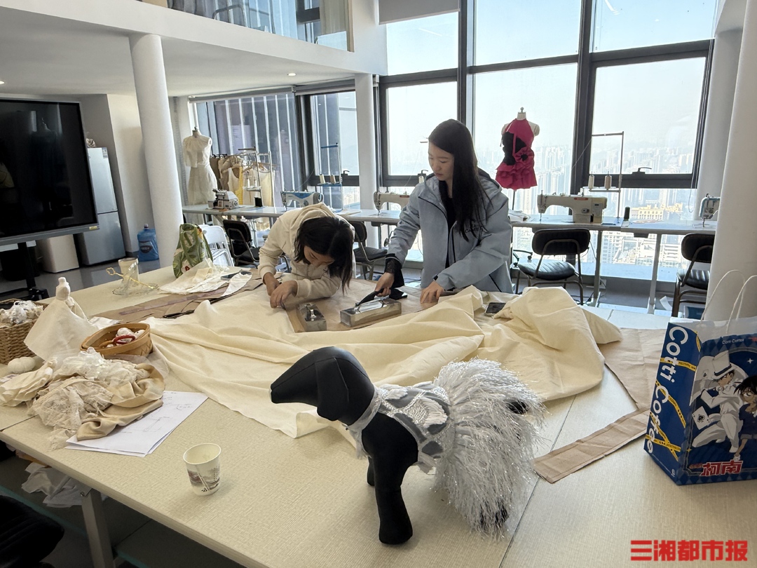长沙一降温“毛孩子”忙换装宠物服饰缝纫课程跟着走红(图2)