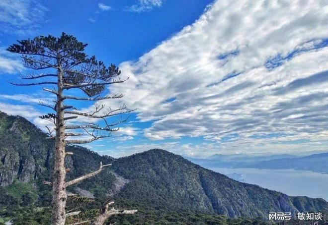 13人擅闯苍山禁地只为找二战飞机残骸他们会遇到哪些危险？(图5)