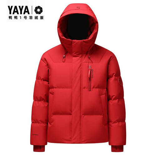 冬季时尚新宠：鸭鸭（YAYA）王一博同款羽绒服温暖与潮流的完美结合(图1)