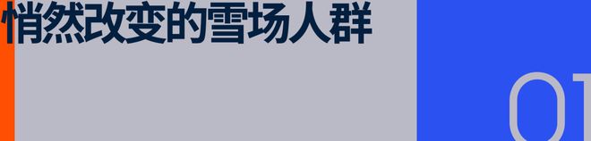 卷出天际的滑雪市场雪友要向「国家队」看齐(图2)