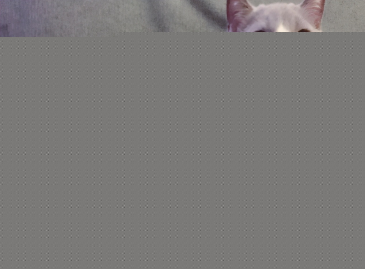 乐虎国际股份有限公司2026年宠物服饰行业市场深度调研及发展前景预测(图1)