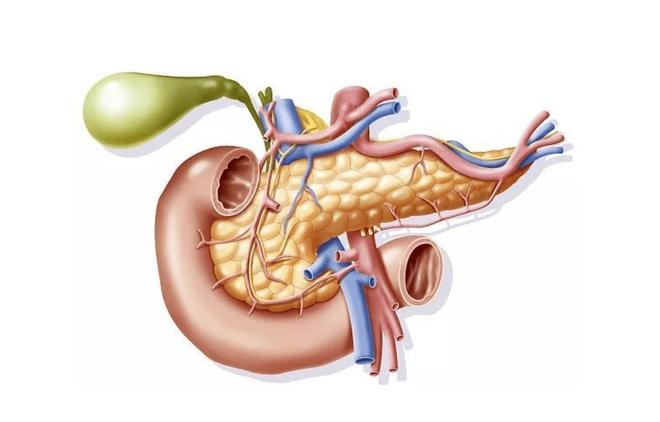 医生提醒：吃饭后一旦出现5个表现十有八九是胰腺炎尽早检查(图10)