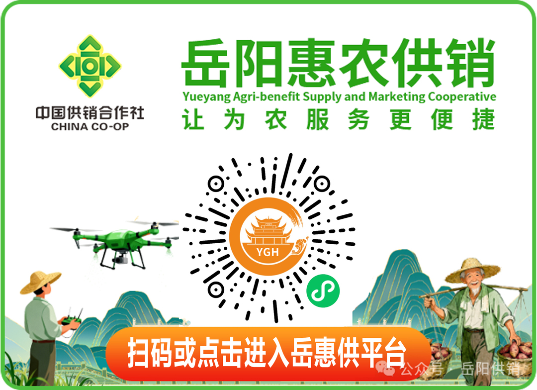 岳阳市首家基层糖尿病并发症筛查站落户湘阴静河镇卫生院(图3)