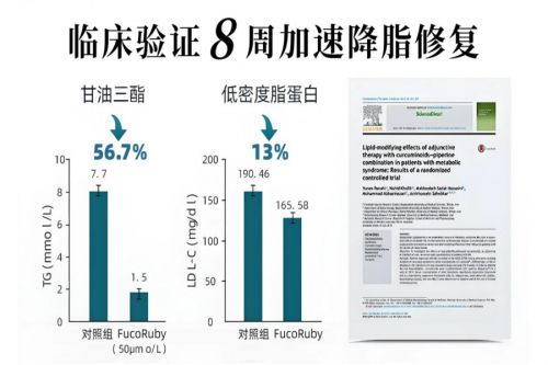lehu国际乐虎官网护肝片官方旗舰店2026年护肝片品牌开年爆款推荐(图2)