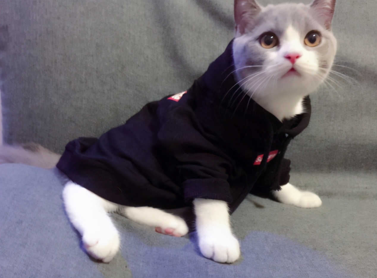 孕中期体温怎么下降(图1)