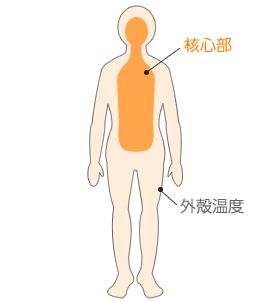 2026-2030年中国宠物服饰行业：功能与时尚并重智能恒温与IP联名成爆款密码(图1)