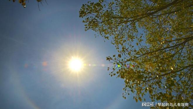 为啥25℃的天气刚刚好35℃就热得不行？人体散热给出答案(图8)