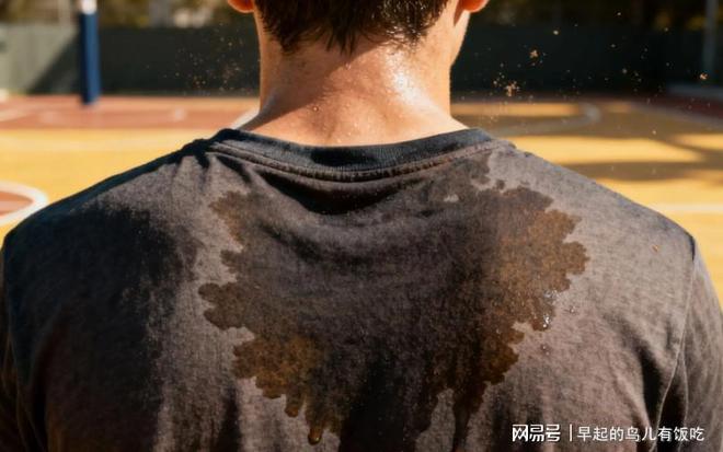 为啥25℃的天气刚刚好35℃就热得不行？人体散热给出答案(图5)