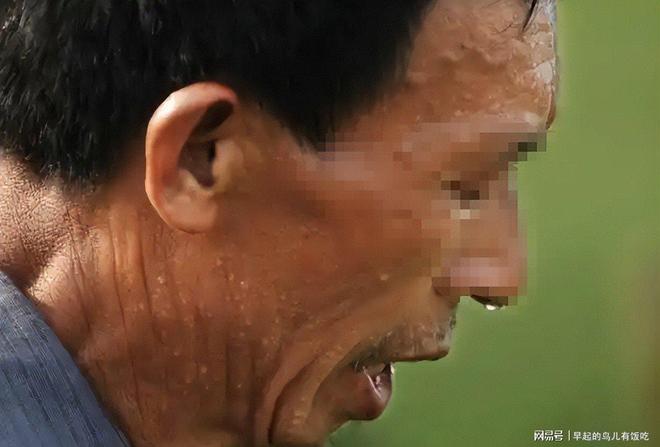 为啥25℃的天气刚刚好35℃就热得不行？人体散热给出答案(图10)
