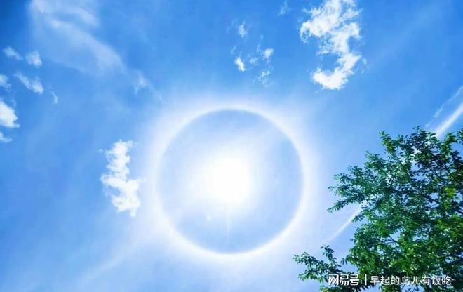 为啥25℃的天气刚刚好35℃就热得不行？人体散热给出答案(图12)
