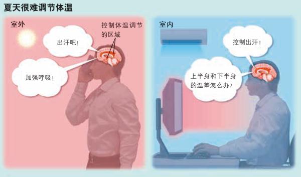 为扩大稀有血型群体关注度三地“熊猫侠”共建互助圈(图1)