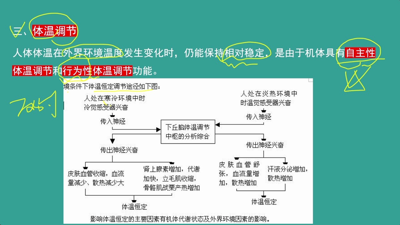 体感革命：智能调温服装产业现状、技术路径与商业前景研究(图1)