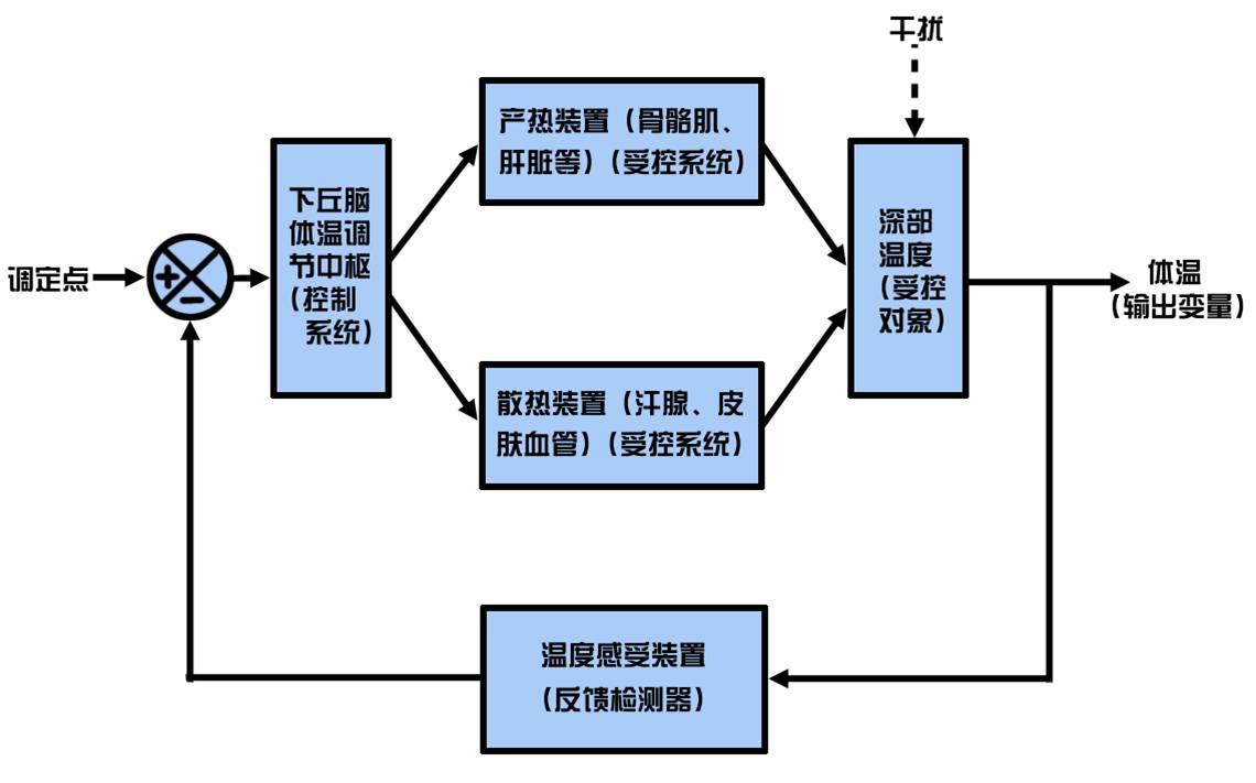 乐虎6月28日：王楚钦出任队长后主动让出舒适座位选择在商务舱低调坐下(图1)