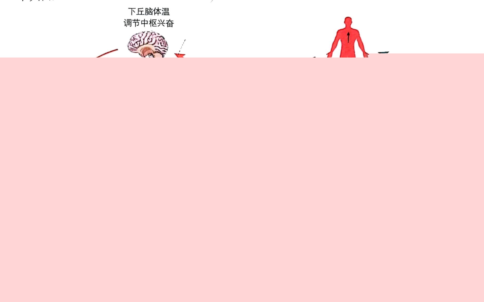 【安徽日报】中国科大“AI造物”解决高温作业穿着难题“相变智冷马甲”如同“随身空调”(图1)