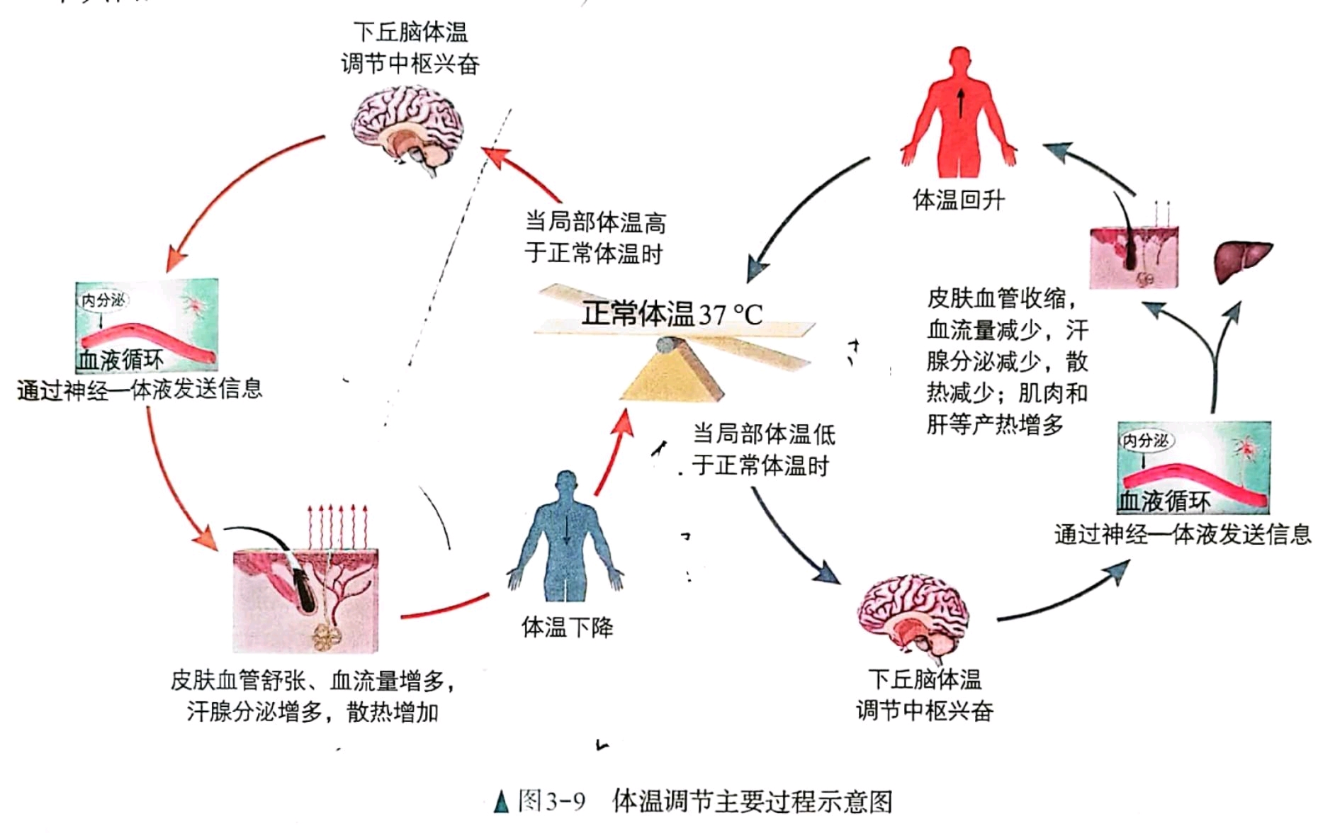 adidas西班牙国家队世界杯球衣评测：体验与对比分析